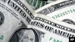 Mari duku ndiyo inonzi iri kunyanya kudzoserwa yasviba