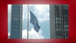 د ډیوه د روانو چارو خپرونه په ټي وي
