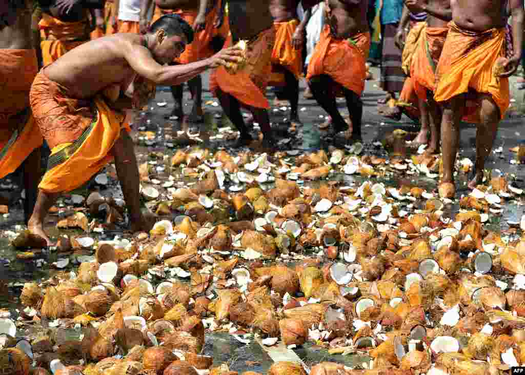 Sri Lankan Tamil Hindu devotees smash coconuts on the ground during the Vel Hinduism festival in Colombo.