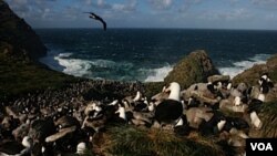 La soberanía de las islas Malvinas estará en debate en el seno de la OEA.