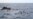 Perahu Karet Tenggelam di Laut Tengah, Sedikitnya 5 Migran Tewas