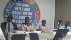 Udaba lomhlangano wamaSDG"s siluphiwa nguMavis Gama