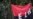 Colombia's ELN Rebels Admit Killing Indigenous Leader Amid Ceasefire