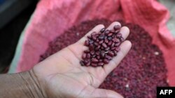 Imagen de archivo de una venta de frijoles en un mercado de Tegucigalpa, 7 de octubre de 2010.