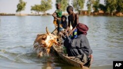 Mali Jihadi Cattle Raids