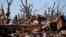 Residents sort through the rubble after their home was destroyed during a tornado in Washington, Illinois, Nov. 19, 2013. 
