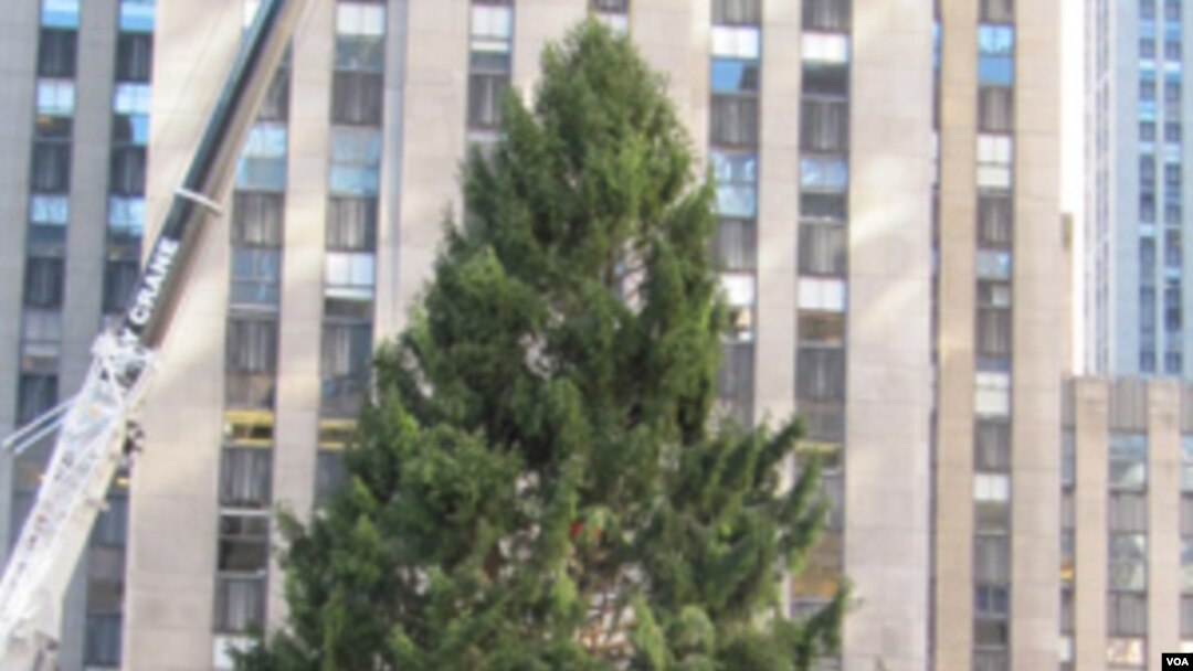 Turis dan warga New York memadati Rockefeller Center untuk melihat pendirian pohon Natal 2010.