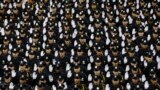 Members of the class of the New York City Police Academy raise hands during their graduation ceremony at Madison Square Garden in New York.
