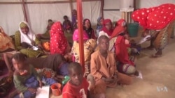 Conflict Creates Food Shortages in Niger