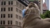 纽约公共图书馆大门石狮提醒人们戴口罩