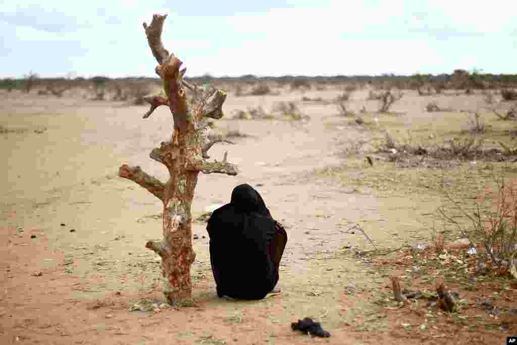 A pregnant Somali woman sits by a tree trunk at UNHCR's Ifo Extension camp outside Dadaab, eastern Kenya, 100 kms (60 miles) from the Somali border, Tuesday Aug. 9, 2011. (AP)
