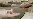 Antibiotics Breed Drug Resistance in Pigs