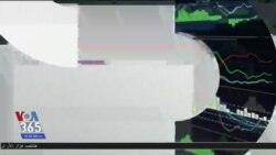 اخبار شامگاهی