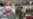 16x9 Image