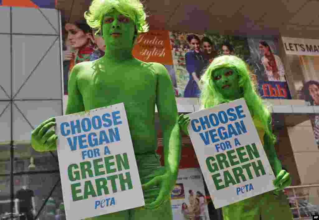 Indian activists of the People for the Ethical Treatment of Animals (PETA) with bodies painted in green hold placards during a vegetarianism campaign in Hyderabad, India, April 22, 2013. 