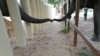 Kaavan the elephant interacts with another elephant at a sanctuary in Oddar Meanchey Province, Cambodia, Dec. 1, 2020. (Four Paws - Global Animal Welfare Organisation/Handout)