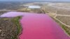 Air di laguna Corfo berwarna merah muda di Trelew, provinsi Chubut, Argentina. Aktivis lingkungan mengaitkan warna tersebut dengan polusi limbah dari kawasan industri di dekatnya. (Foto AP/Daniel Feldman)