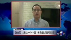 VOA连线: 张志军：承认一个中国，各表可谈