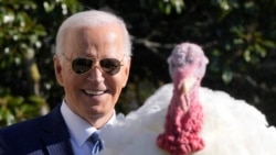 Presiden AS Joe Biden berbicara setelah mengampuni dua kalkun dalam acara perayaan menjelang Thanksgiving di Gedung Putih, Washington, pada 25 November 2024. (Foto: AP/Mark Schiefelbein)