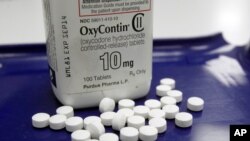 FILE - OxyContin pills are arranged at a pharmacy in Montpelier, Vermont, Feb. 19, 2013.