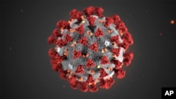 This illustration provided by the Centers for Disease Control and Prevention in January 2020 shows the 2019 Novel Coronavirus (2019-nCoV).