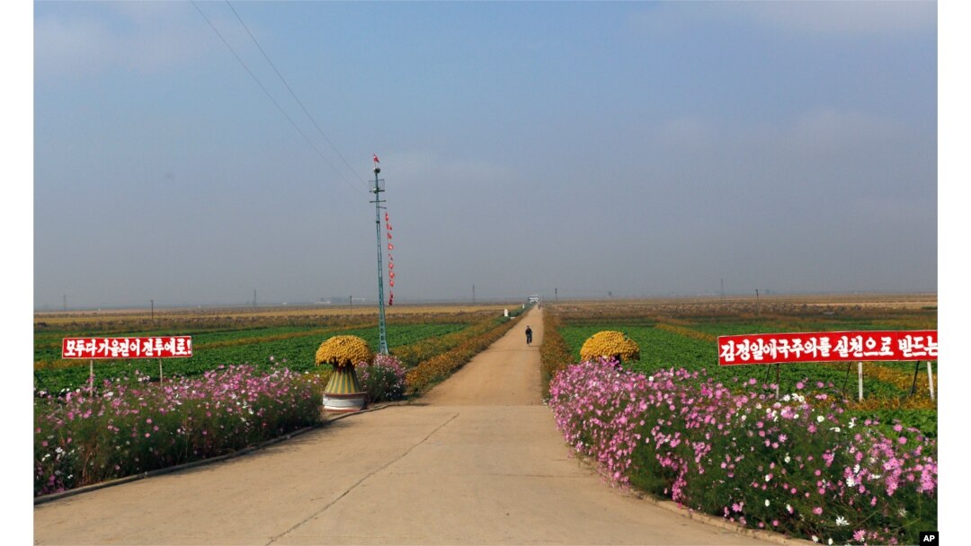 Cải tạo nông nghiệp tại Bắc Triều Tiên 