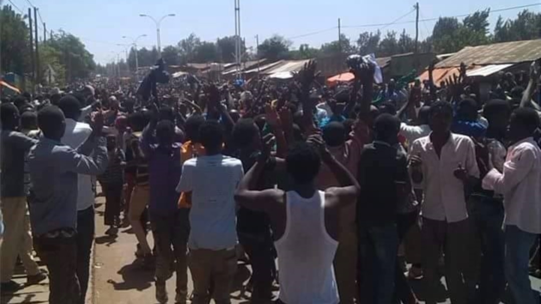 Pornografiyadagi fohishalar