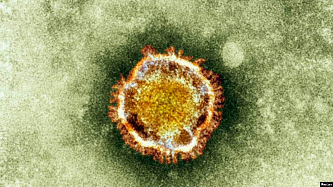 Gambar mikroskop elekton dari virus corona dalam sebuah foto oleh Dinas Kesehatan Inggris di London (foto:doc).