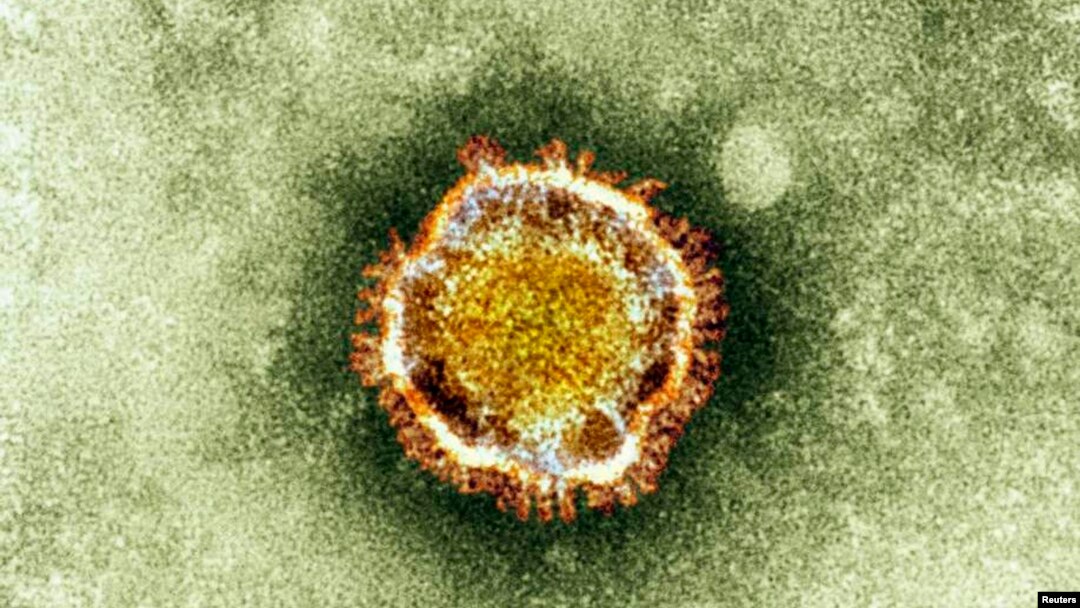 Gambar mikroskop virus korona milik Badan Perlindungan Kesehatan di London. 