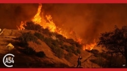 Africa 54: Los Angeles wildfires rage on, and more
