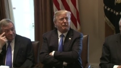 Trump on Oprah Running for President