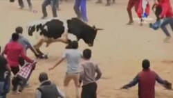 SHORT VIDEO: Պերուում ցլամարտից 8 մարդ լուրջ վնասվածքներ է ստացել