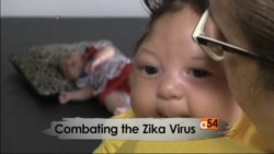 Zika Virus Spreading