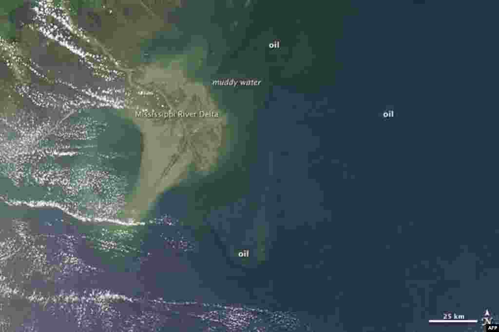 The largest oil patch is in the vicinity of the damaged well, but streamers of oil also spread to the northeast, 23 May 2010. (NASA image)