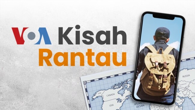 House Sitter dan Cat Sitter di AS, Kerja Santai di Rumah dengan Gaji Besar