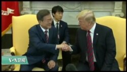 美国观察2018年5月29日