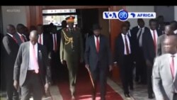 Manchetes Africanas 31 Outubro 2018: As rugas dos elefantes africanos