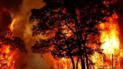 ایران زیر سایه بحران‌ها: از آتش سوزی در جنگل‌ها تا آلودگی هوا و افزایش بیماری‌ها