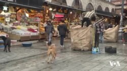 Mahmut Aytar Yê Bêkar, Karsaziya Nûjenkirina Plastîkê Afirand