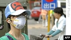 Domuz Gribine Neden Olan H1N1 Virüsü Hala Aktif