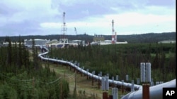 FILE - The Trans-Alaska pipeline and pump station north of Fairbanks is shown in this undated photo. The 800-mile Trans-Alaska pipeline carries Alaska North Slope crude oil from Prudhoe Bay south to Valdez. 