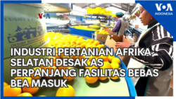 Industri Pertanian Afrika Selatan Desak AS Perpanjang Fasilitas Bebas Bea Masuk