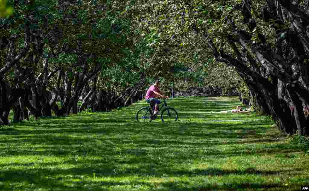 유네스코 세계문화유적인 러시아 모스크바의 콜로멘스코예 공원에서 한 남성이 자전거를 타고 있다.