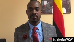 Nelson Chamisa, the president of Movement for Democratic Change Alliance.