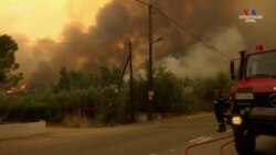 Հունաստանում հրշեջները շարունակում են պայքարել Աթենքին հարակից անտառային հրդեհների դեմ