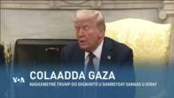 Qubanaha VOA