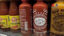 American "Sriracha" Sauce Tests Thai Tastebuds