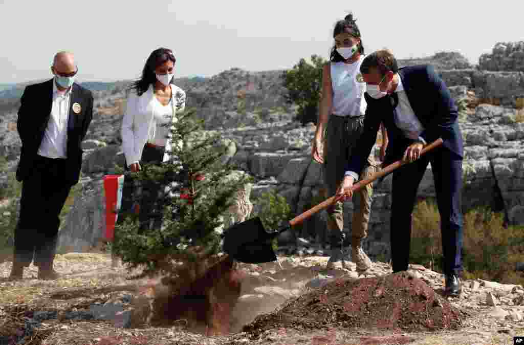 رئیس جمهوری فرانسه در سفر دوم خود به بیروت بعد از انفجار در این شهر، درختی کاشت. 