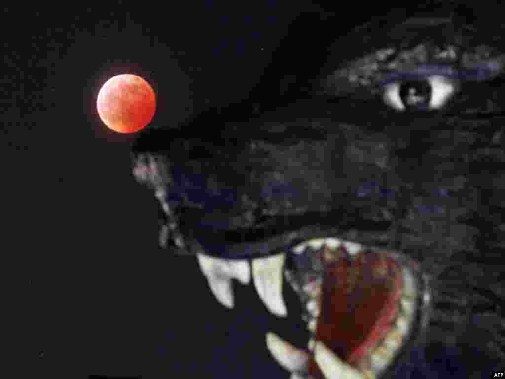 The eclipse of the moon is seen behind a carving of a bear at a souvenir shop in Shiraoi, on Japan's northern island of Hokkaido December 21, 2010.