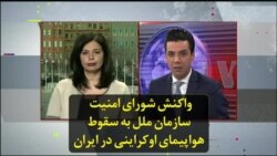 واکنش شورای امنیت سازمان ملل به سقوط هواپیمای اوکراینی در ایران